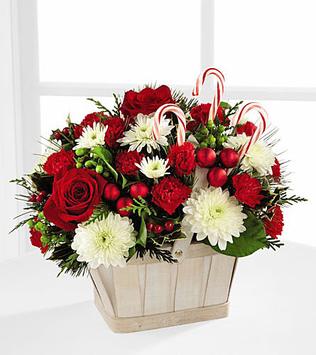 Candy Cane Lane Arrangement