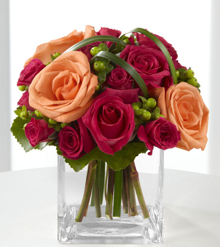 Deep Emotions by Better Homes & Gardens