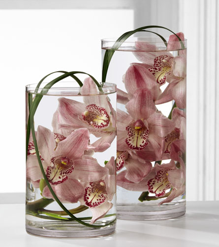 Tranquil Orchid Arrangement