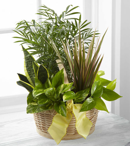 FTD's French Garden 