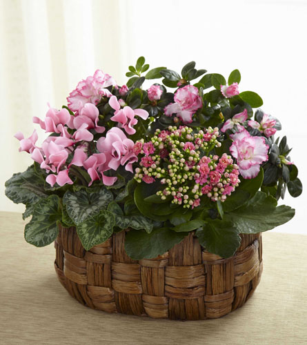 FTD's Pink Assortment
