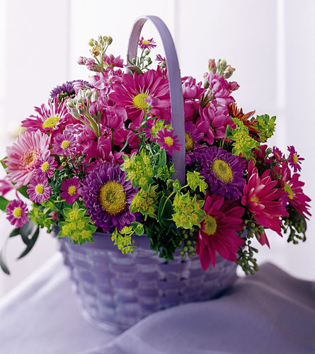 Shades of Purple