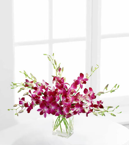 Drenched in Dendrobium Orchid Bouquet