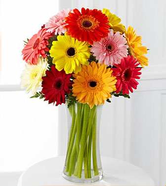 Gerbera Daisy Arrangement