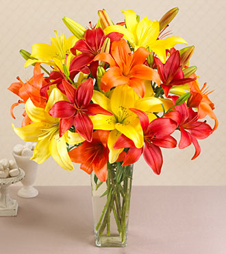 California Sunshine Mixed Asiatic Lilies