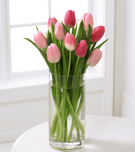 FTD's Tender Tulips Bouquet