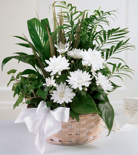 FTD's Peaceful Garden Basket