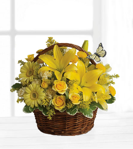 Basket Full of Wishes