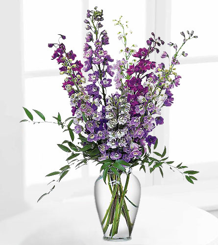 Delphinium Dreams Arrangement